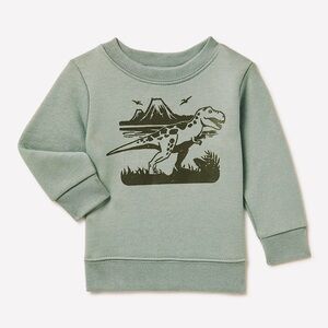 3/$15 🌸 Garanimals Baby Boy Dinosaur Fleece Sweatshirt Pullover Sweater Green